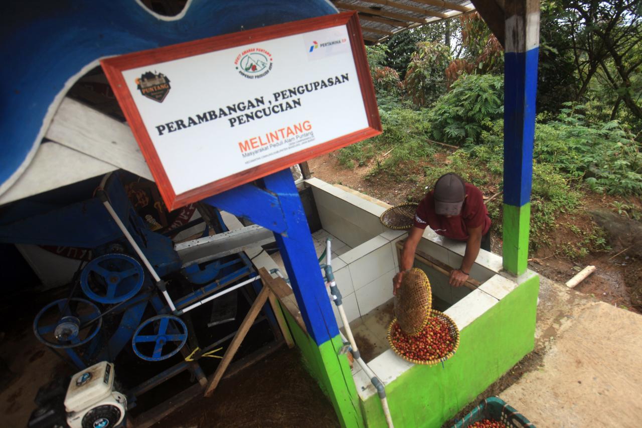 Harum Kopi Puntang Wangi...