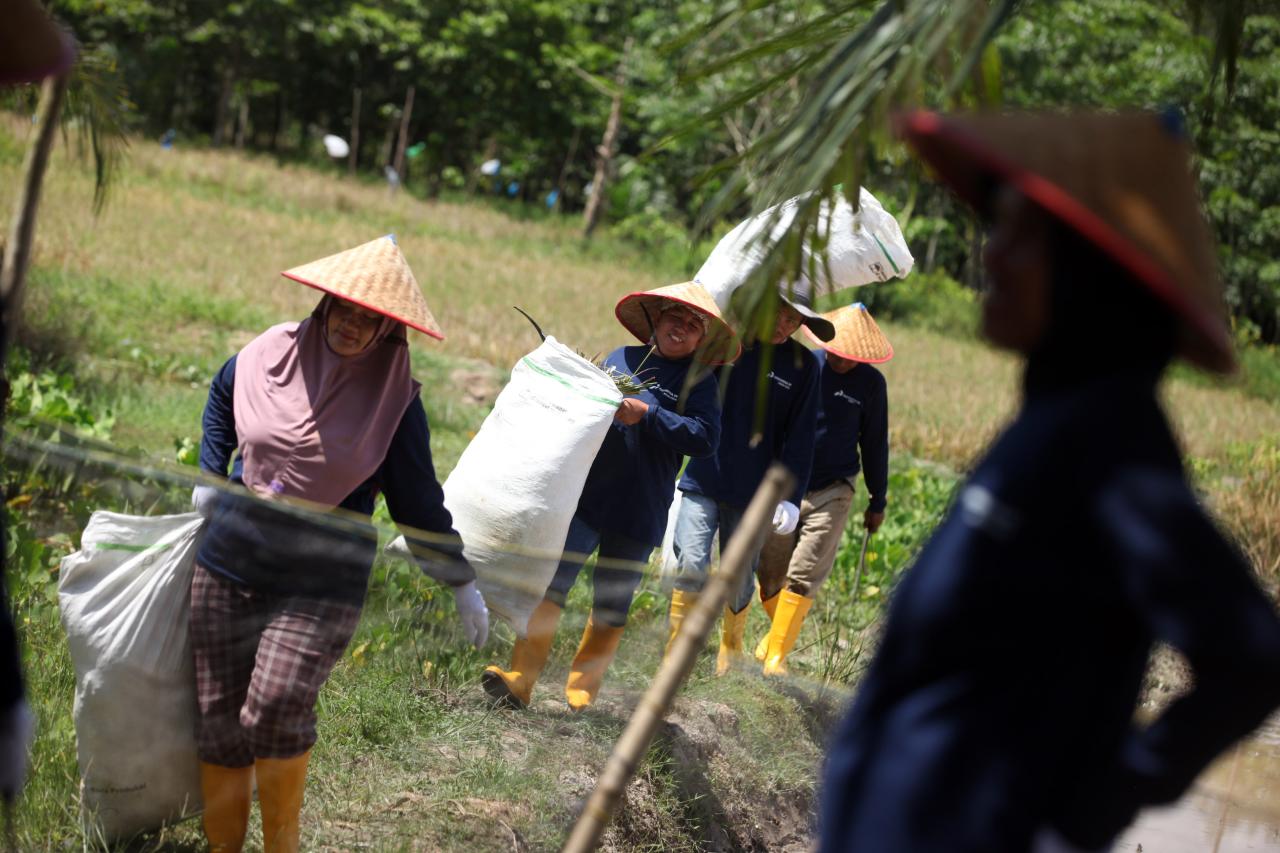 Pertamina Menyemai Harapan...