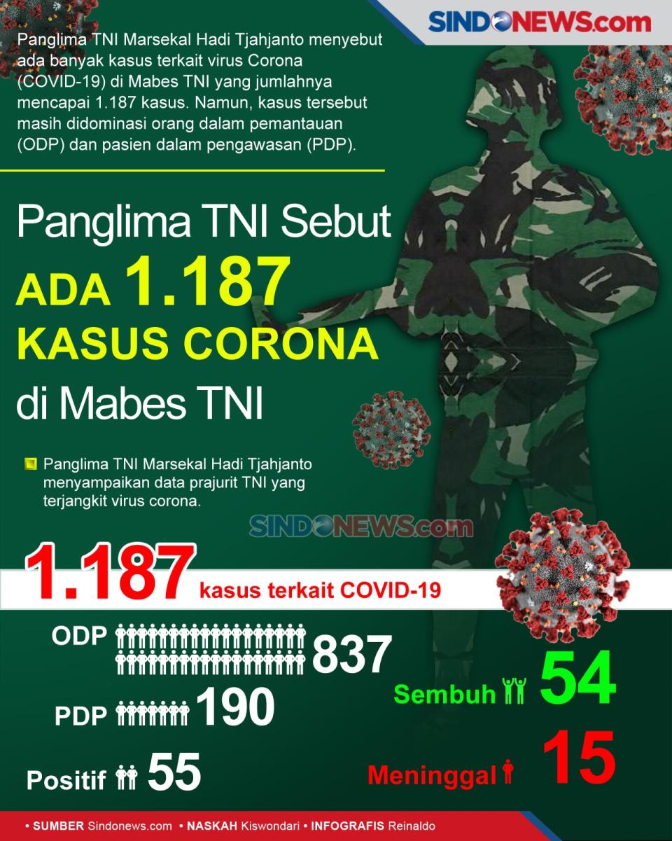 Panglima TNI Sebut Ada...