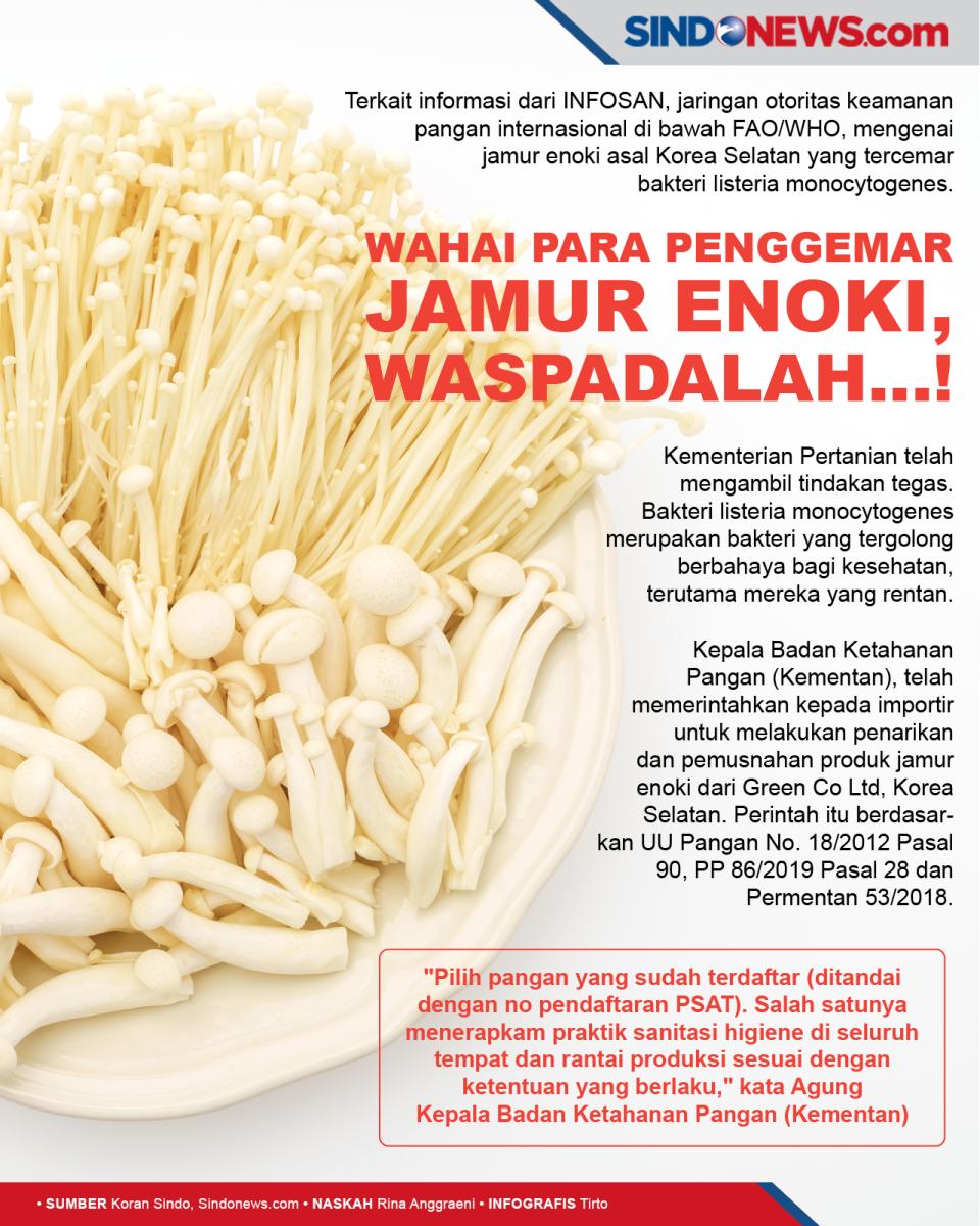 Wahai Para Penggemar...