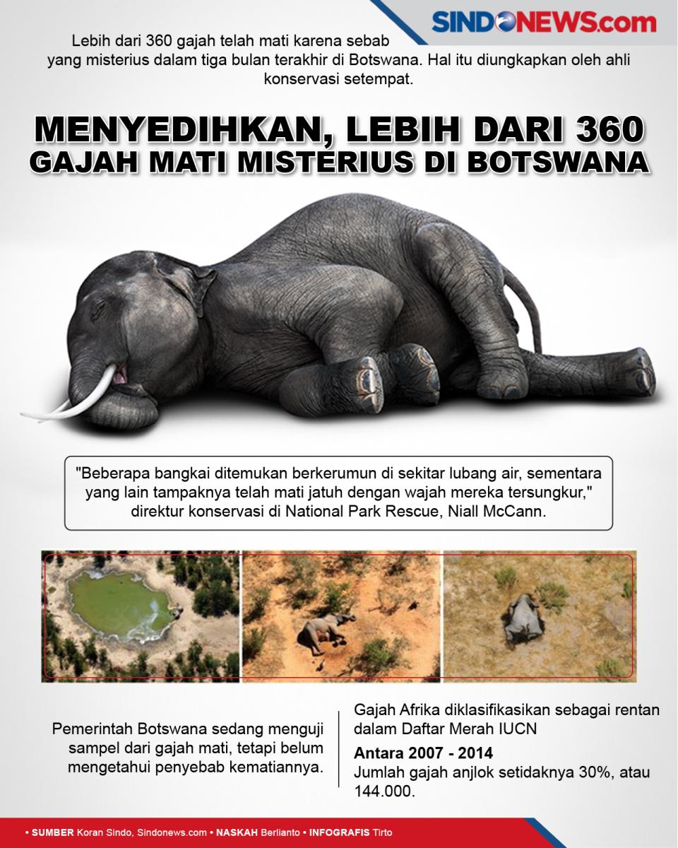 Menyedihkan, Lebih dari...