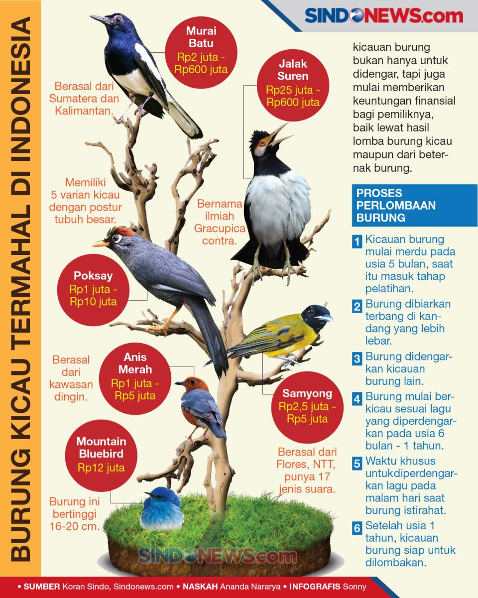Kicauan Merdu Burung...