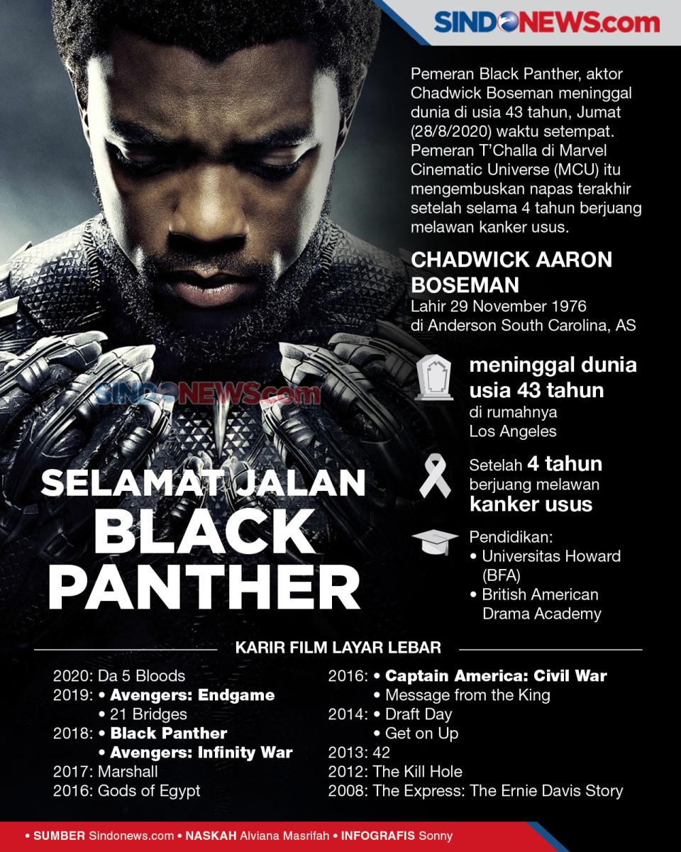 Pemeran Black Panther,...