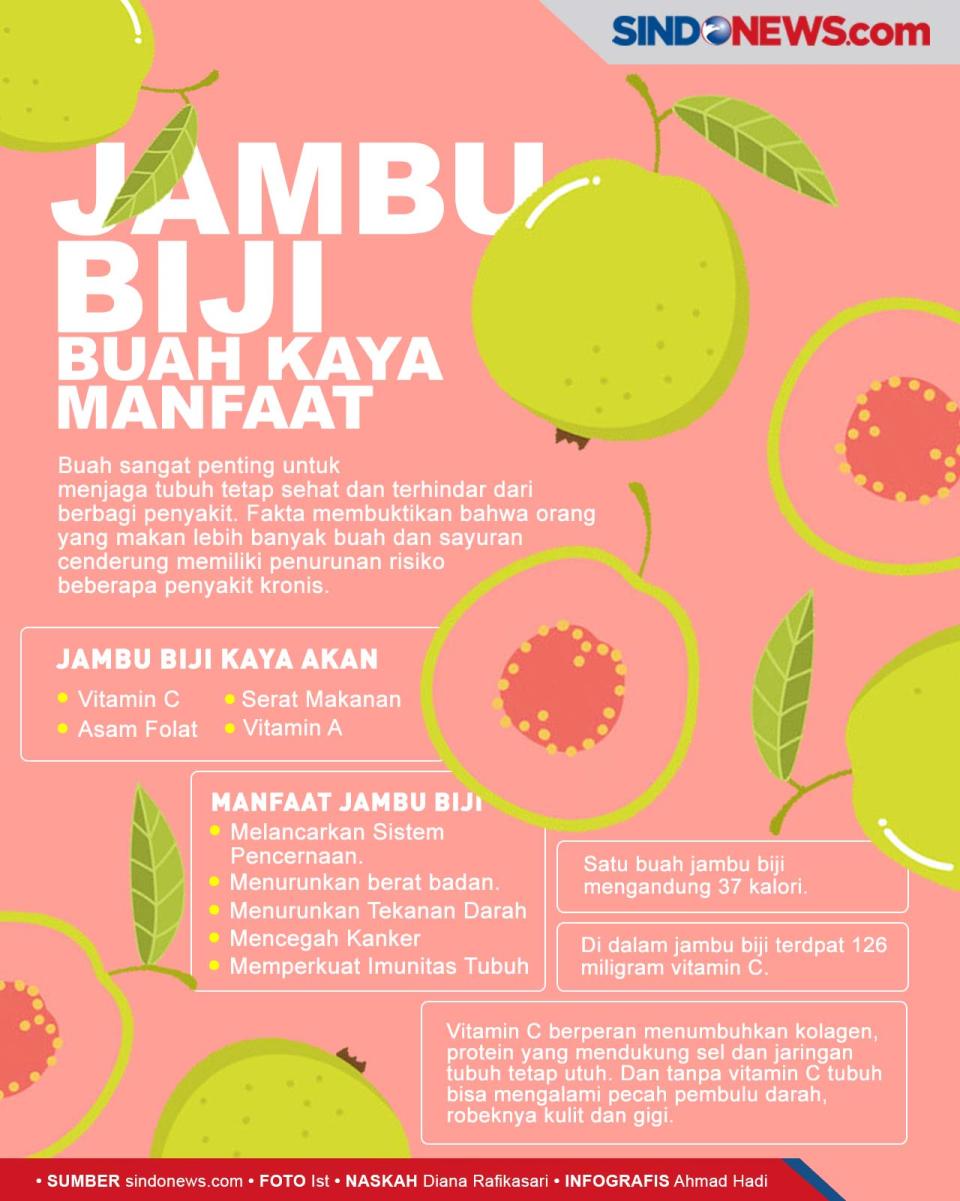 Konsumsi Biji Jambu...