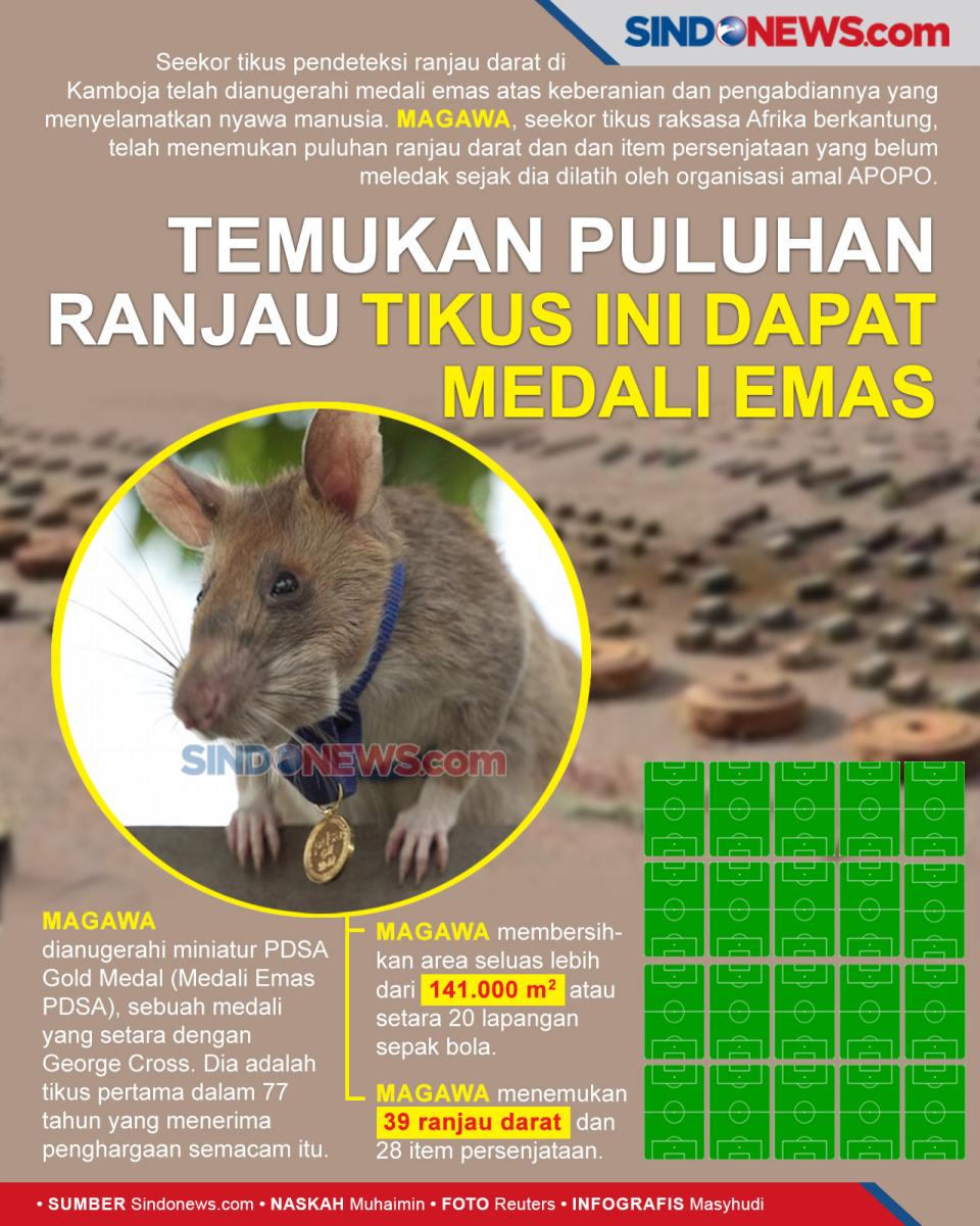 Deteksi Puluhan Ranjau,...