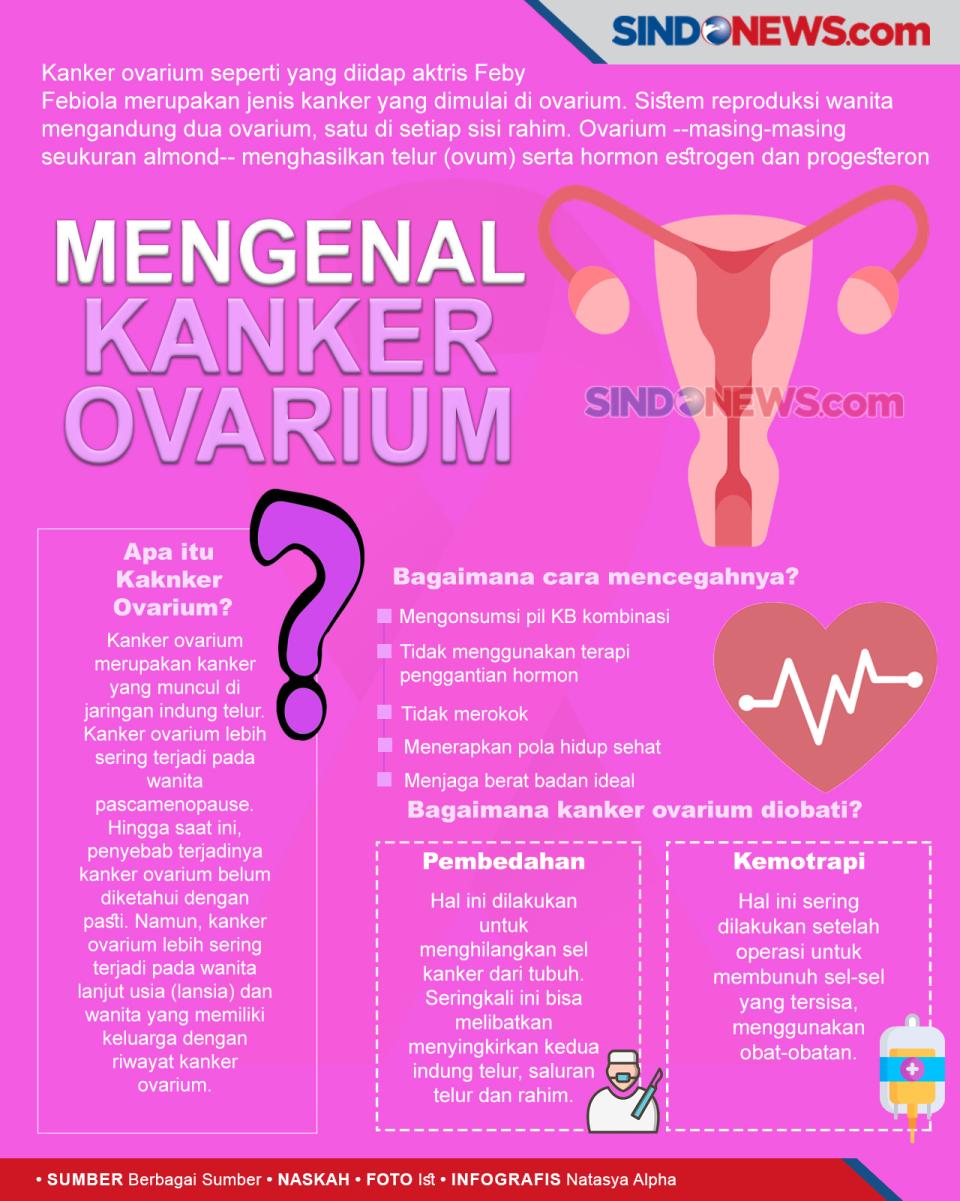 Mengenal Kanker Ovarium...