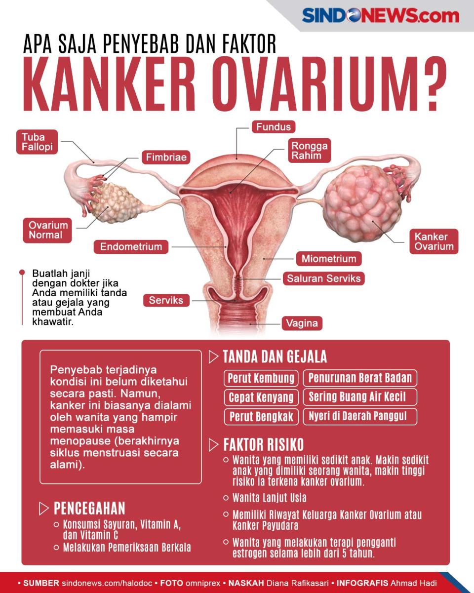 Apa Saja Penyebab dan...