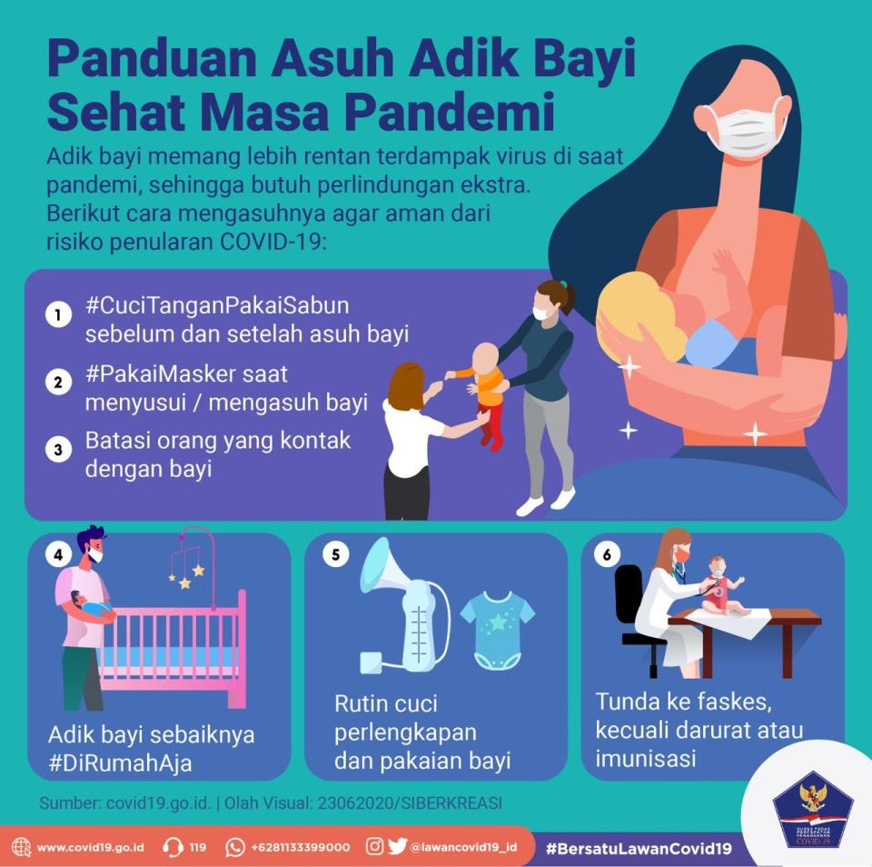 Panduan Asuh Adik Bayi...