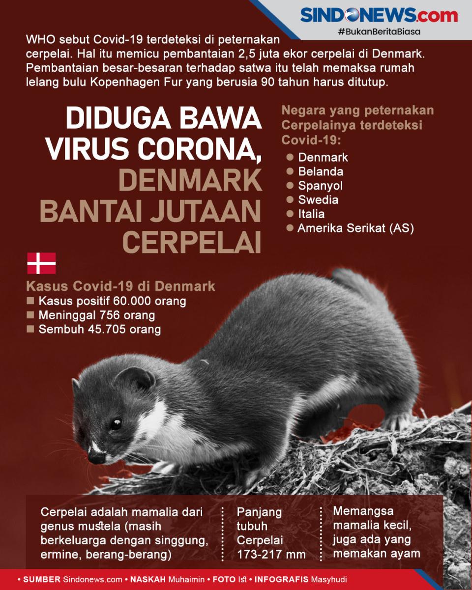Diduga Bawa Virus Corona,...