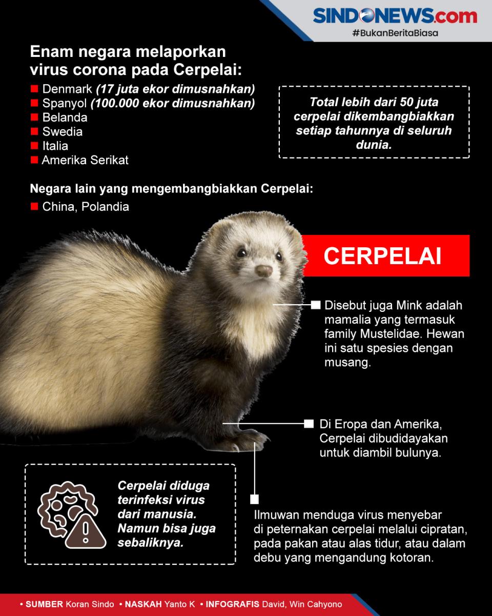 Cerpelai Membuat Pola...