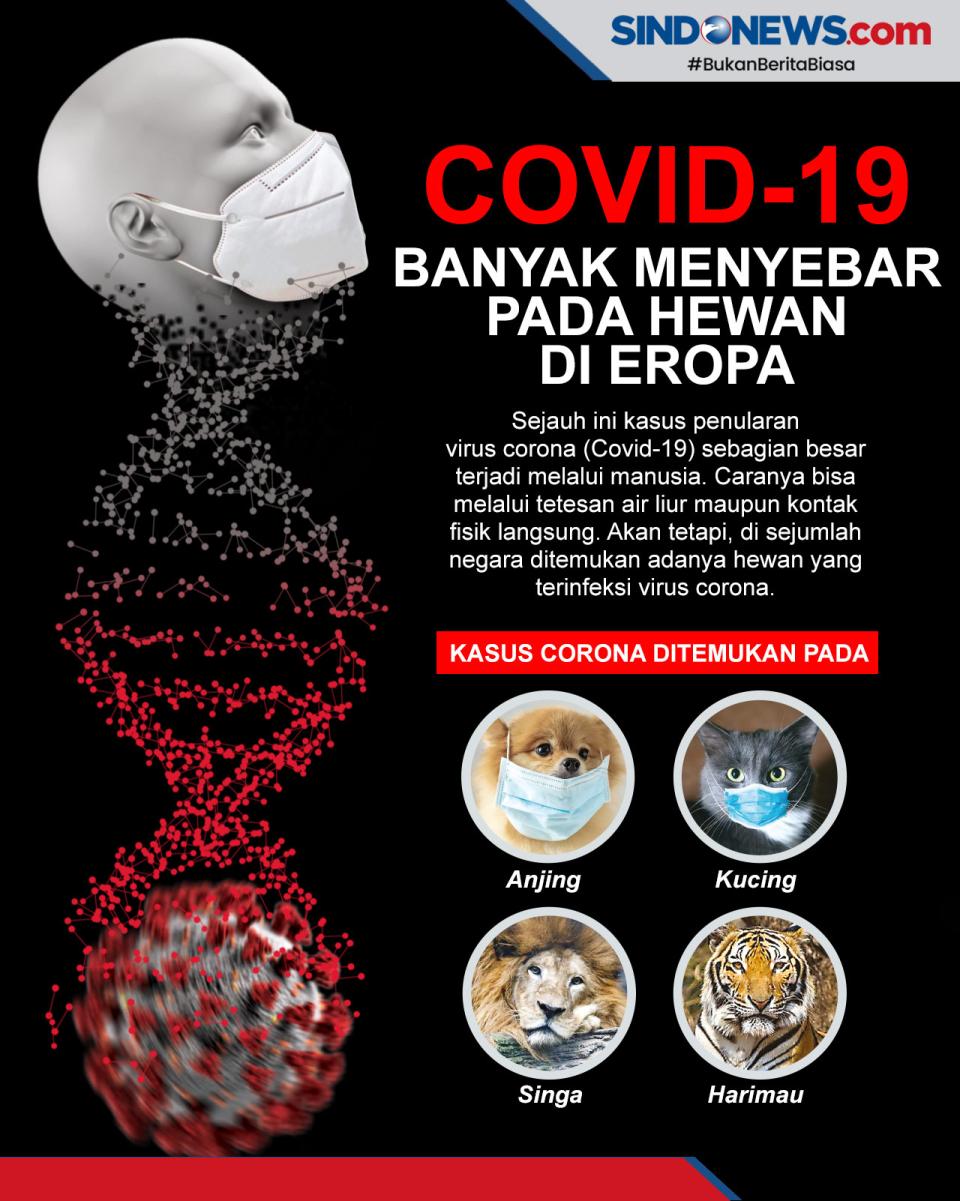 Cerpelai Membuat Pola...