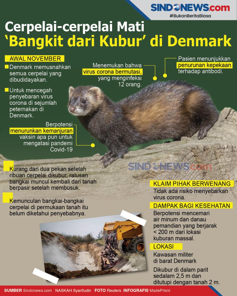 Cerpelai-cerpelai Mati...