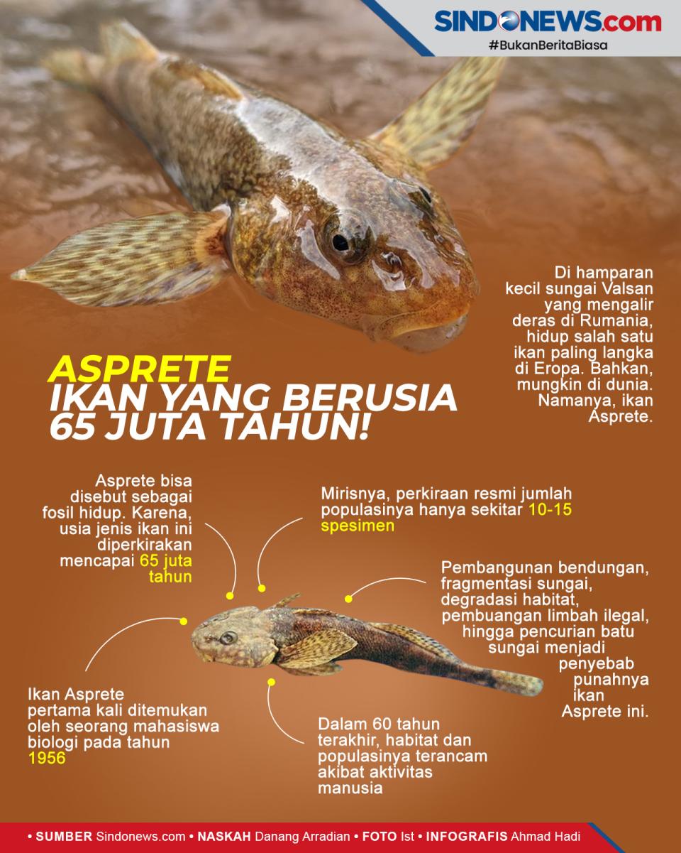 Berusia 65 Juta Tahun,...