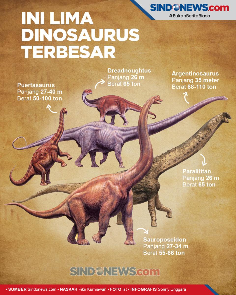 Ini 5 Dinosaurus Terbesar...