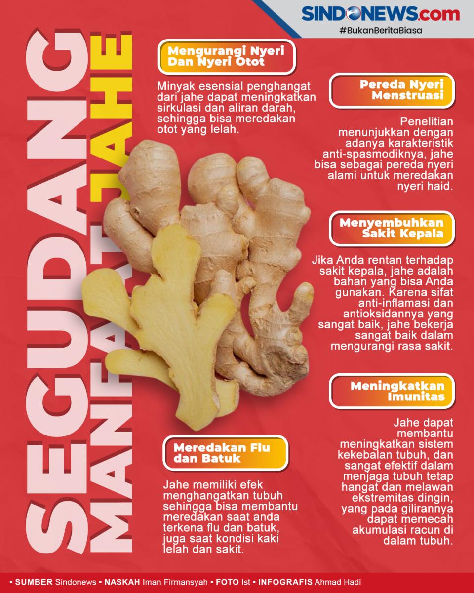Jahe, Tanaman Obat yang...