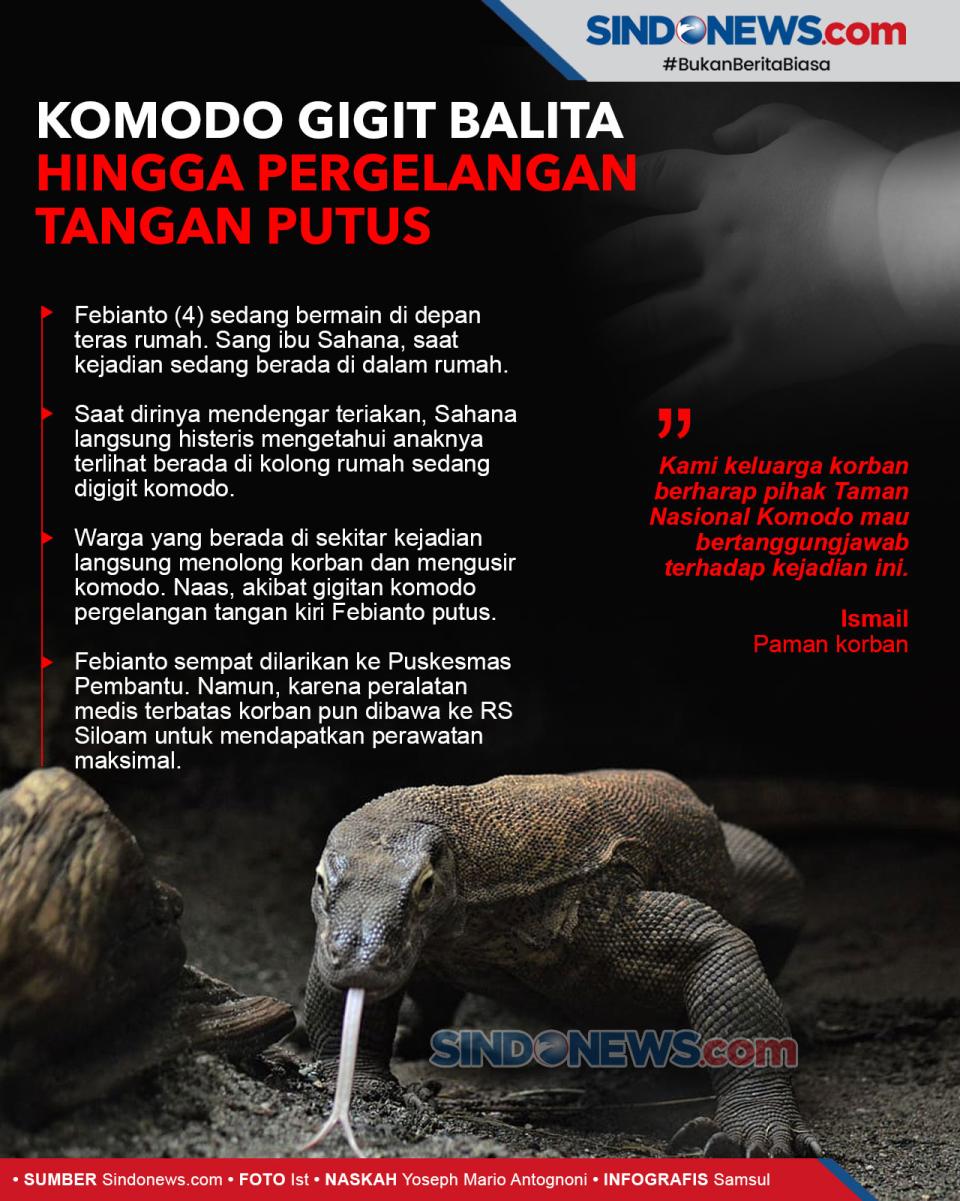 Komodo Gigit Balita...