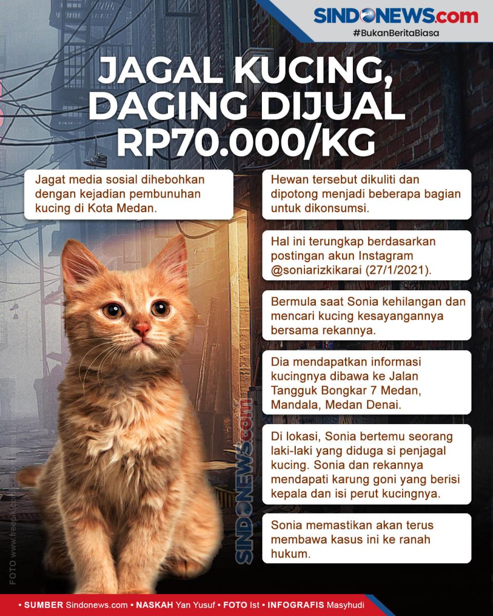 Viral Jagal Kucing di...