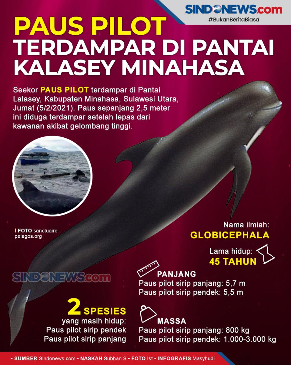 Nelayan Temukan Ikan...