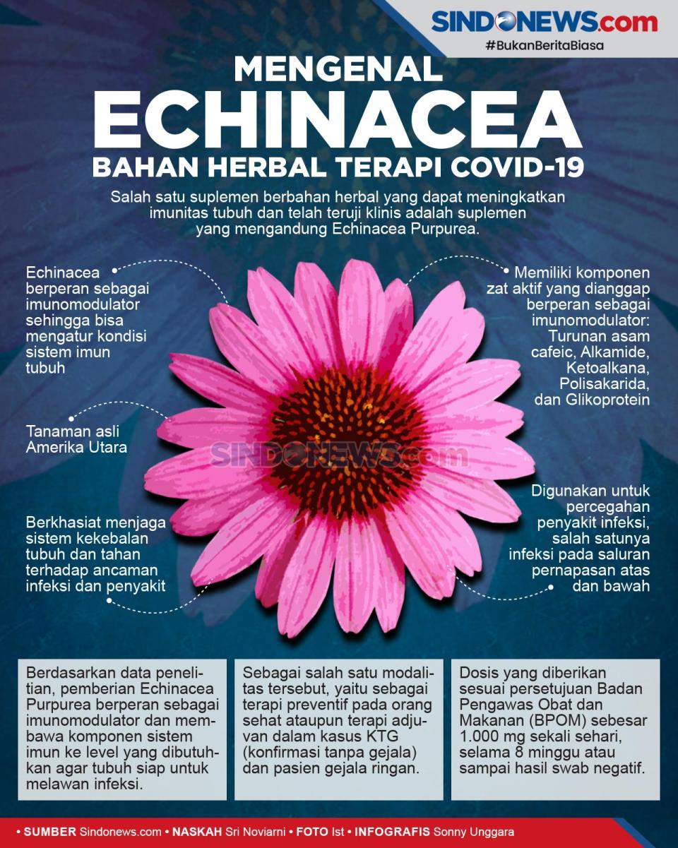 Khasiat Bahan Herbal...