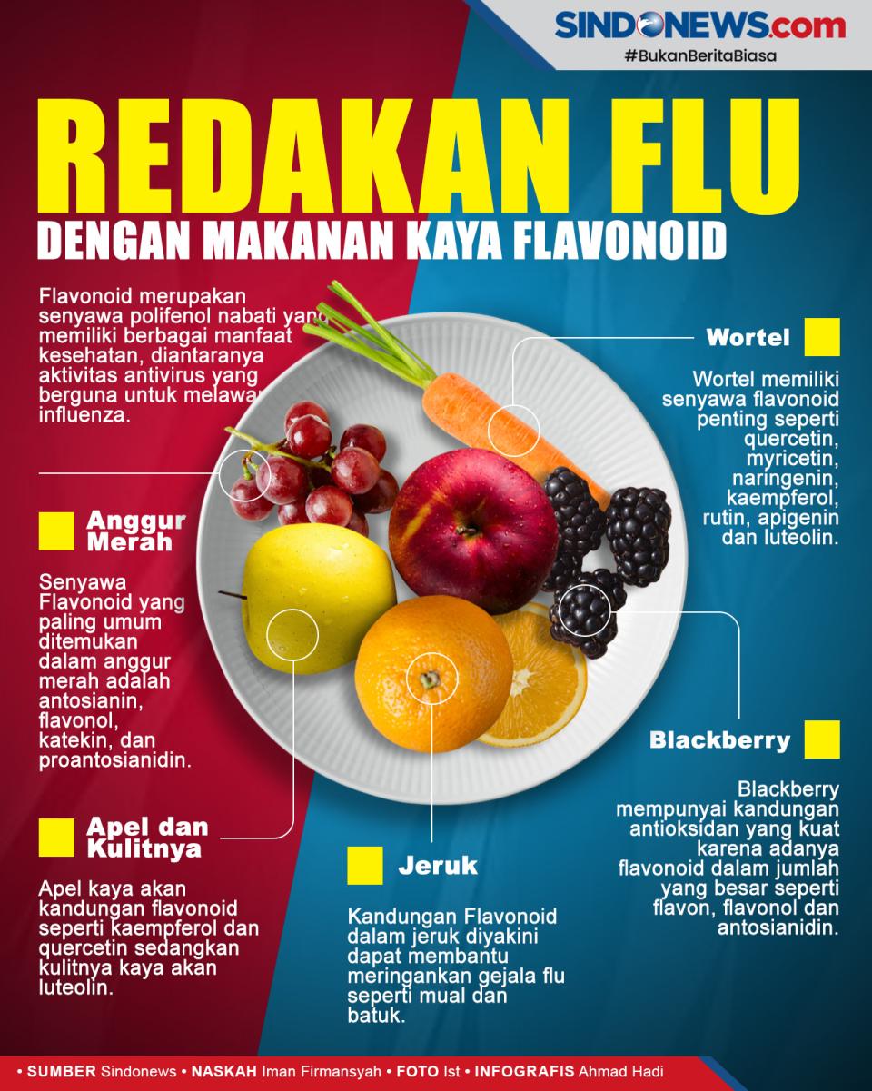 Redakan Flu dengan Makanan...