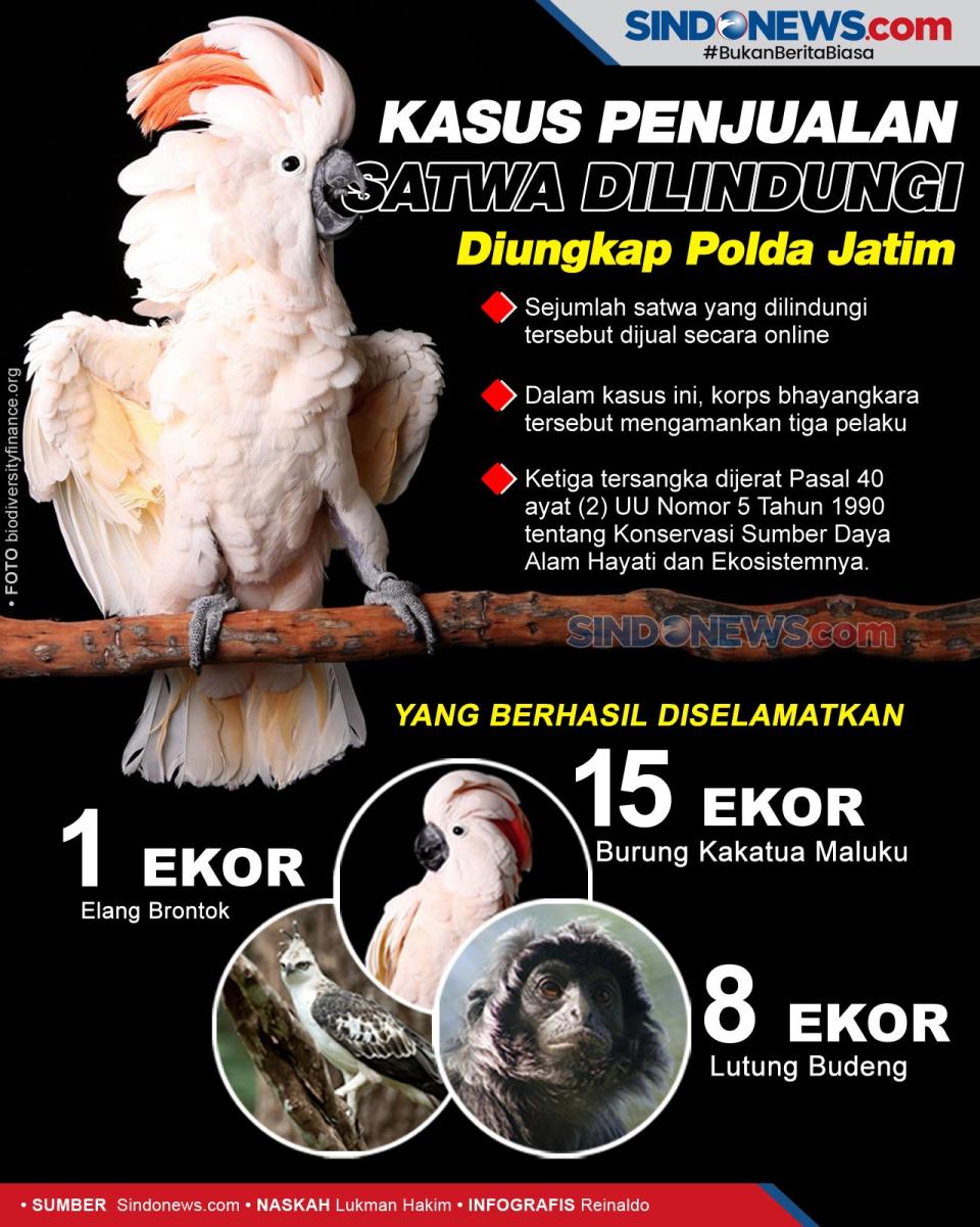 Kasus Penjualan Satwa...