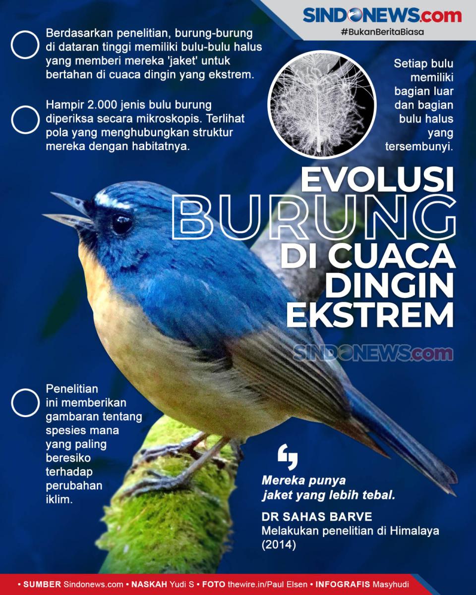 Evolusi Burung Dataran...