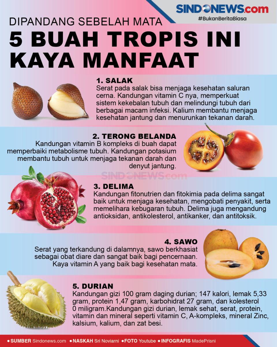 Kaya Manfaat, 5 Buah...