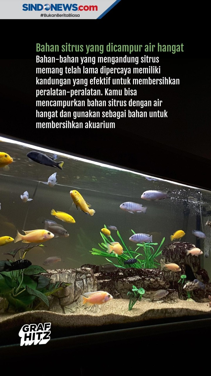 Tips Membersihkan Kaca...