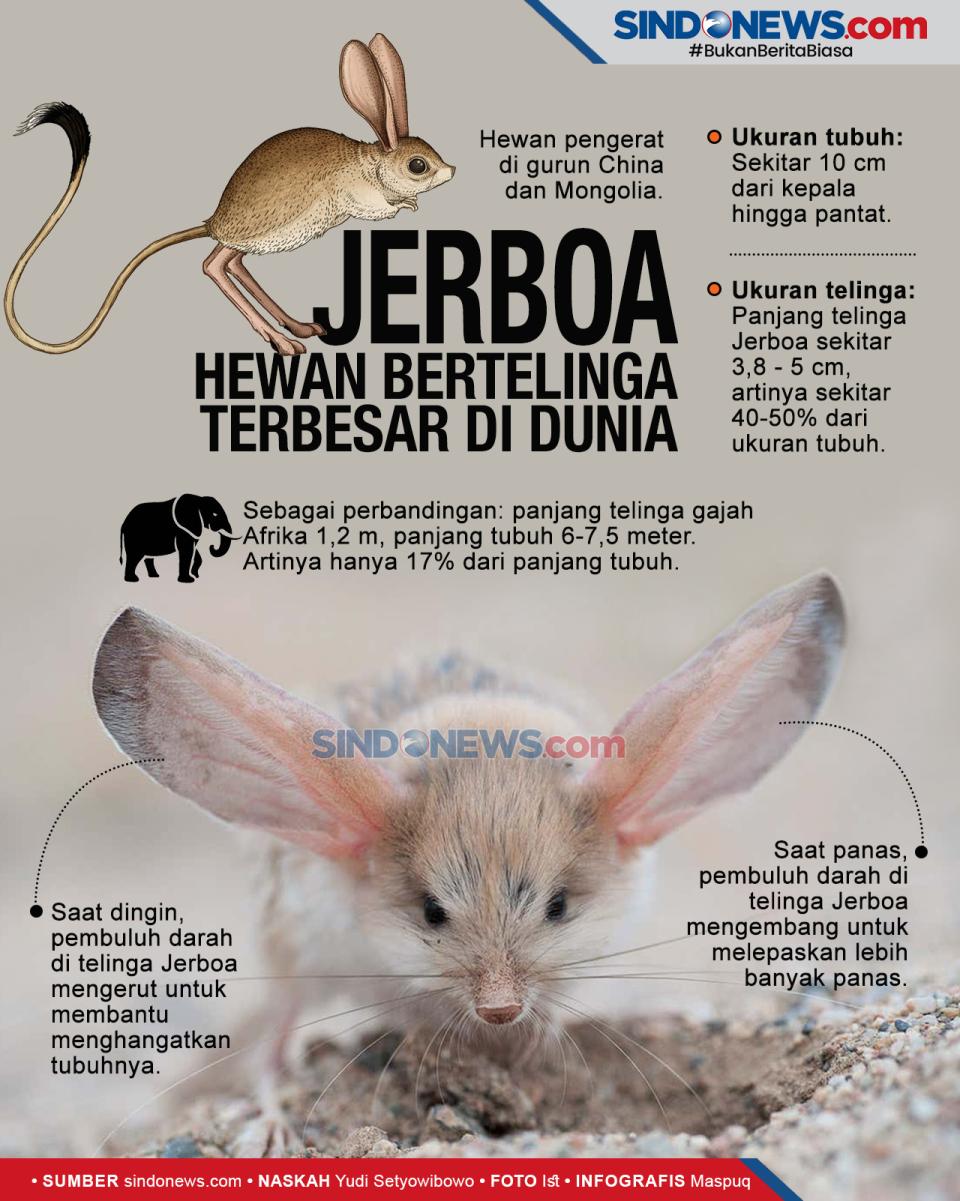 Jerboa, Hewan dengan...