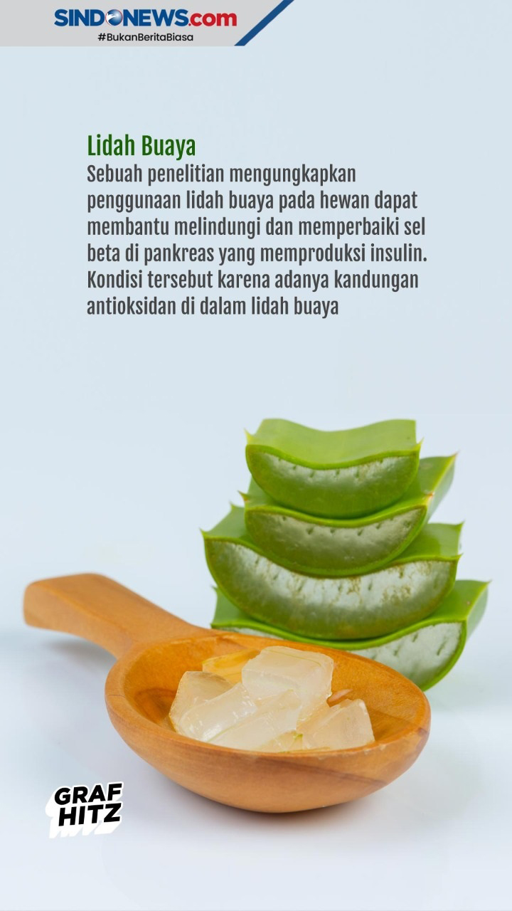 Herba yang Bisa Dikonsumsi...