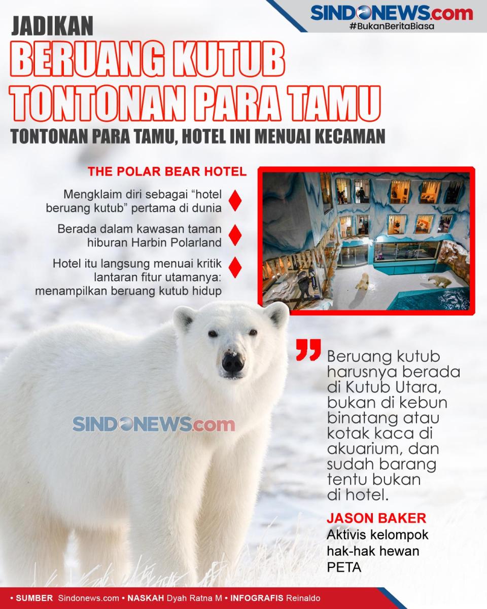 Jadikan Beruang Kutub...