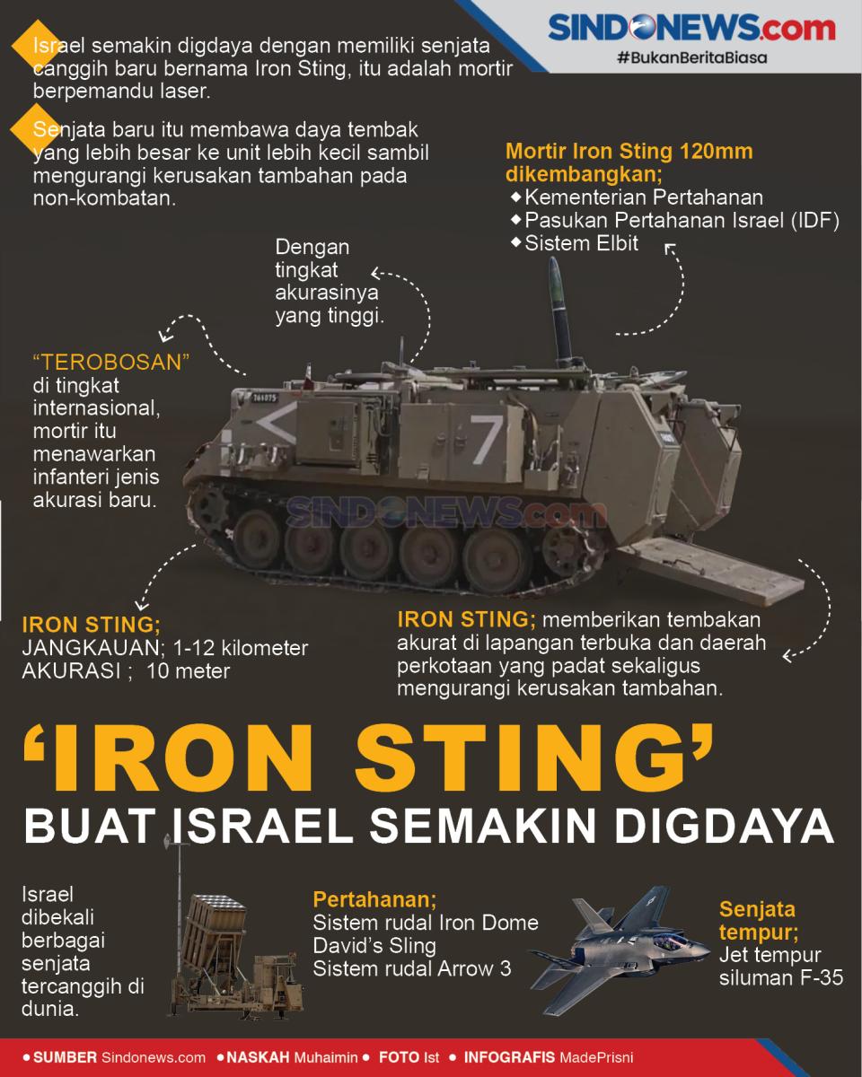 Iron Sting, Mortir Berpemandu...