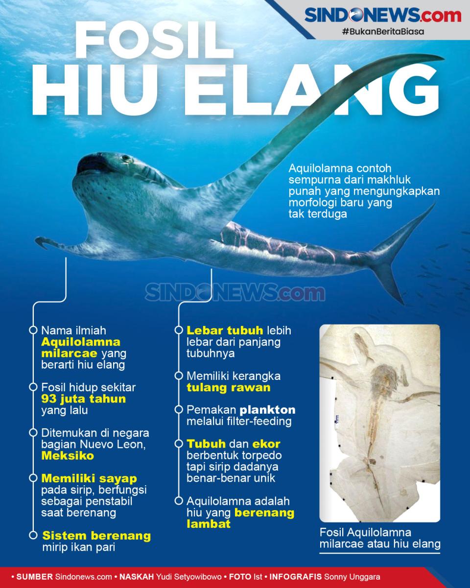 Penemuan Fosil Hiu Elang...