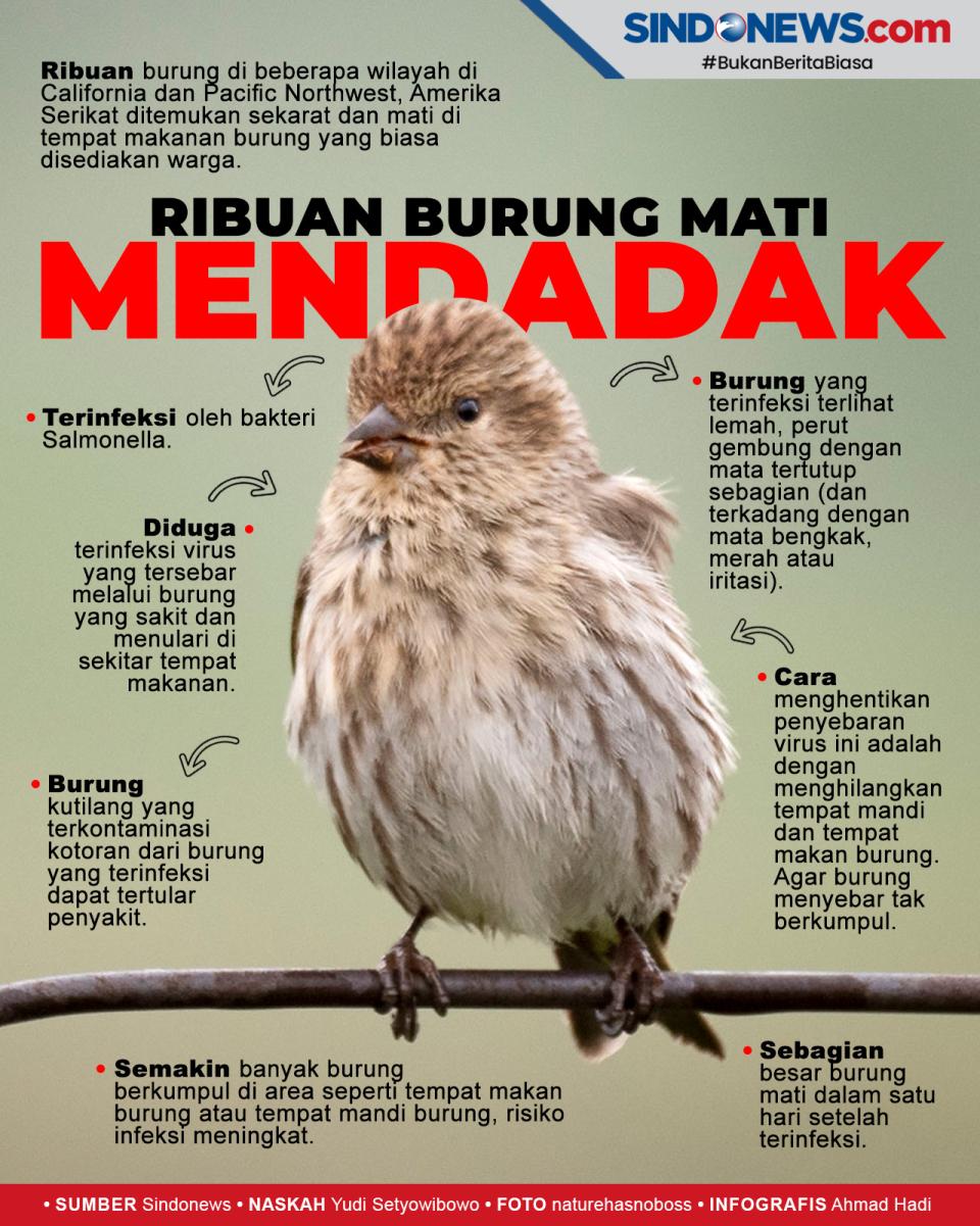 Terinfeksi Virus, Ribuan...