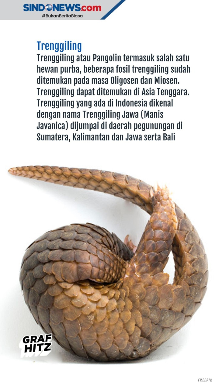 Hewan Purba yang Masih...