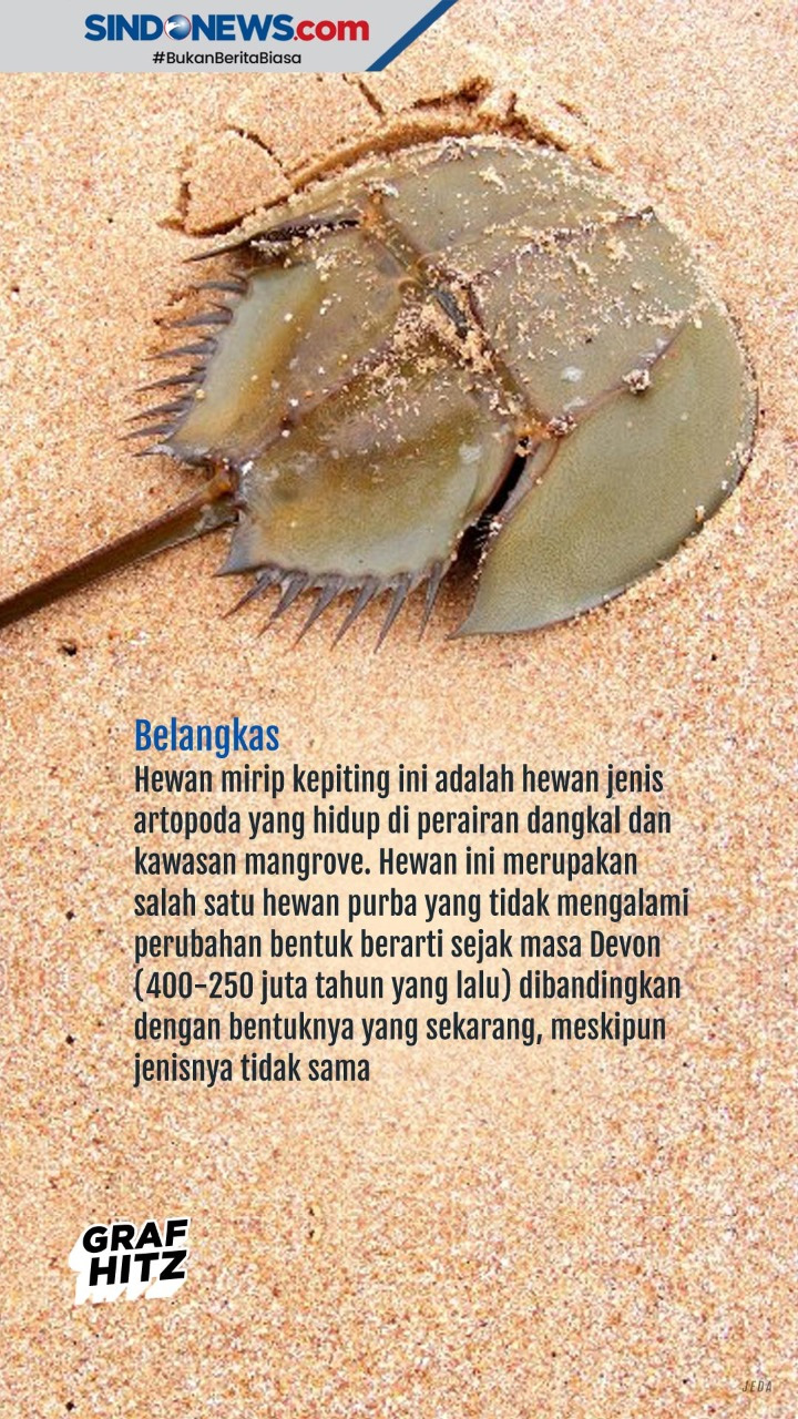 Hewan Purba yang Masih...