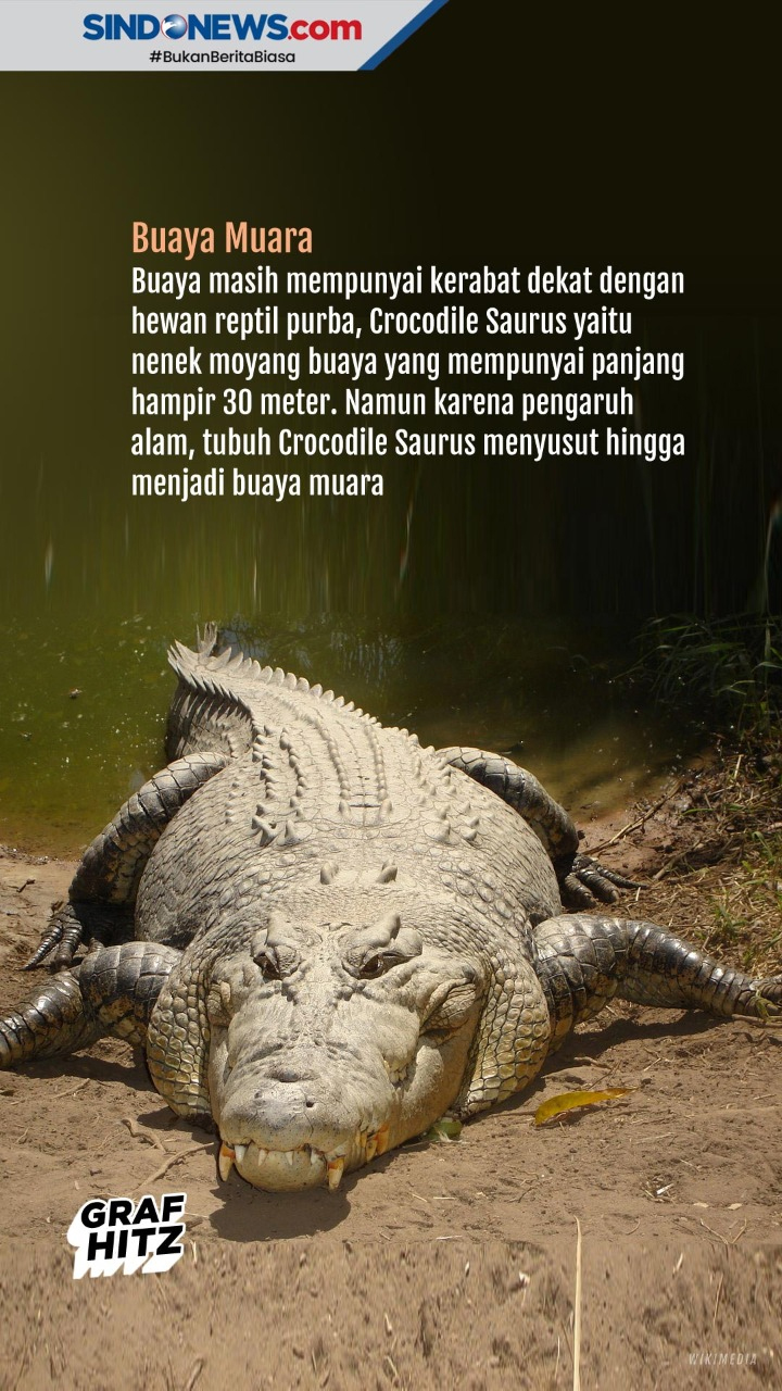 Hewan Purba yang Masih...