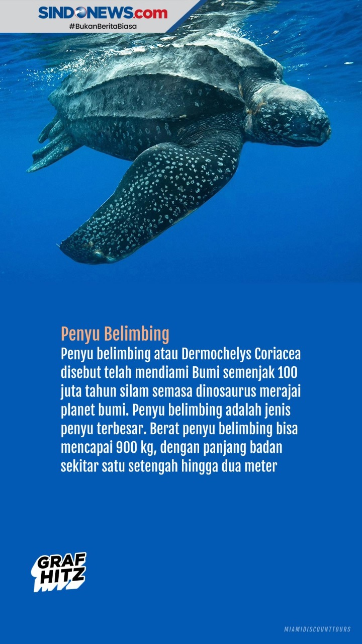 Hewan Purba yang Masih...