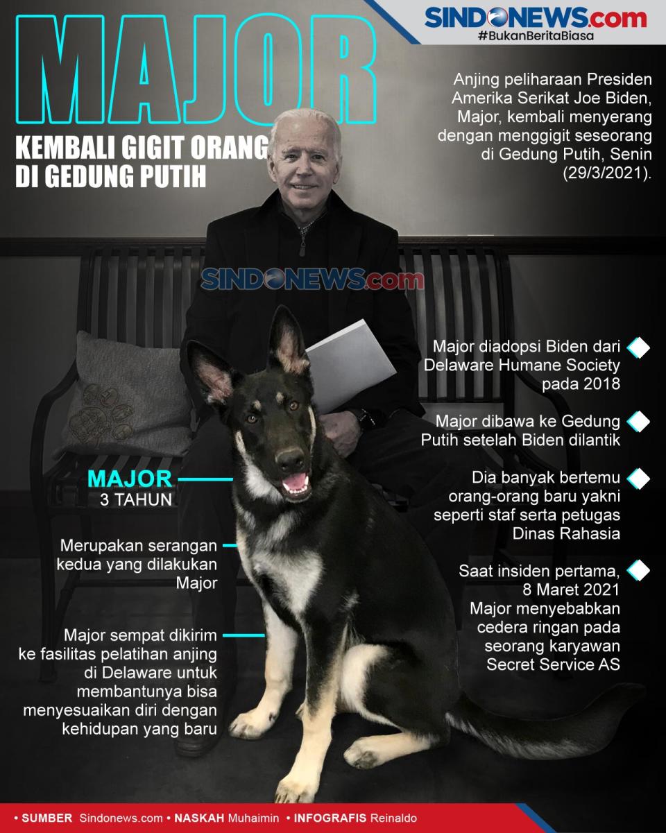 Anjing Presiden Biden...
