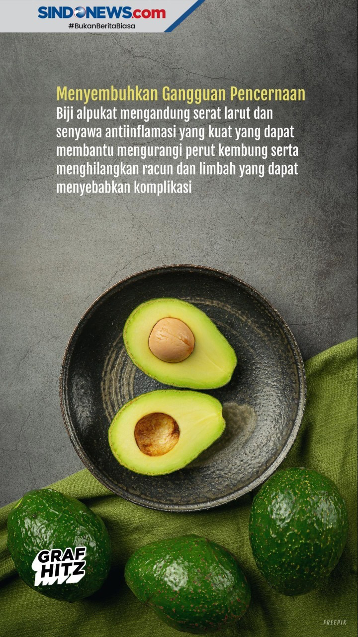 Manfaat Biji Alpukat...