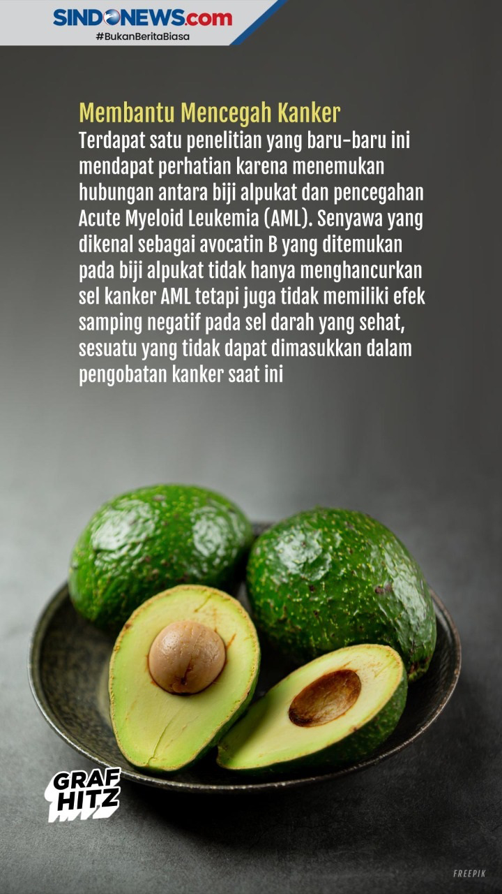 Manfaat Biji Alpukat...