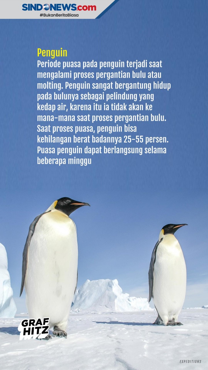Mengenal Hewan - Hewan...