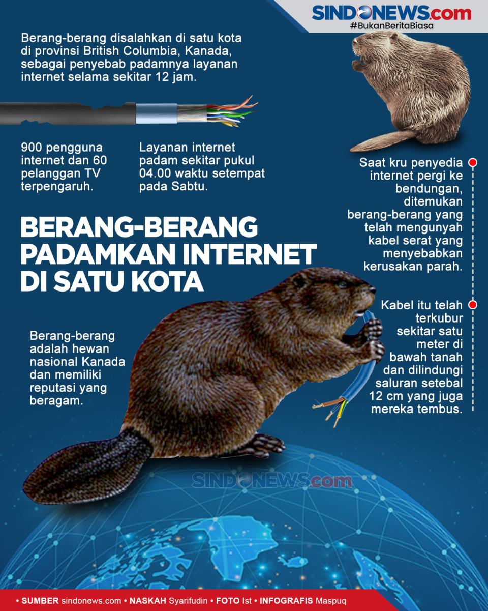 Berang-berang Kanada...