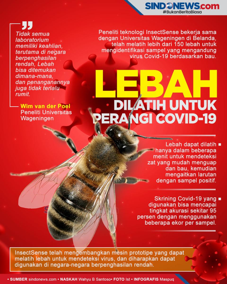 Lebah Berhasil Dilatih...