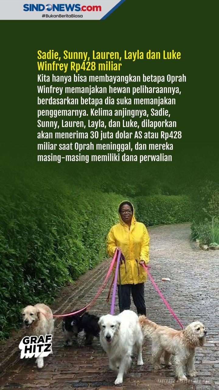Ini Lima Hewan Peliharaan...