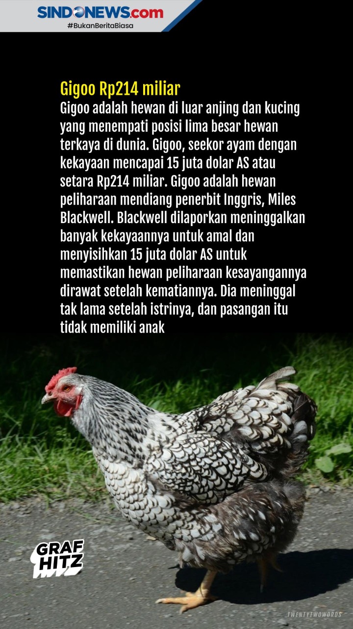 Ini Lima Hewan Peliharaan...