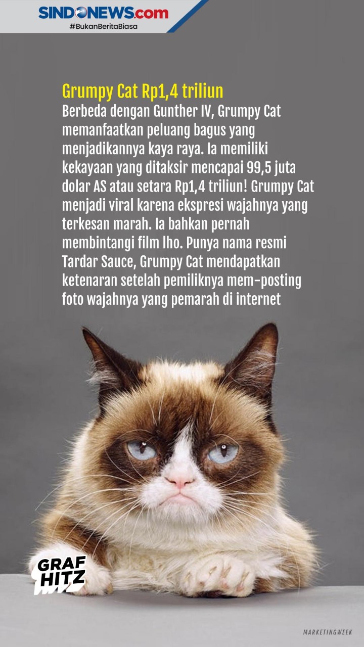 Ini Lima Hewan Peliharaan...