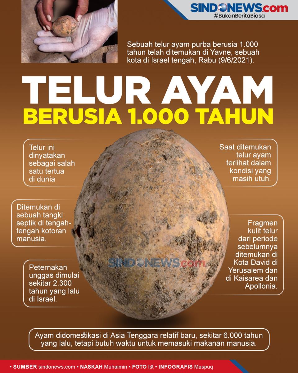 Masih Utuh, Telur Ayam...