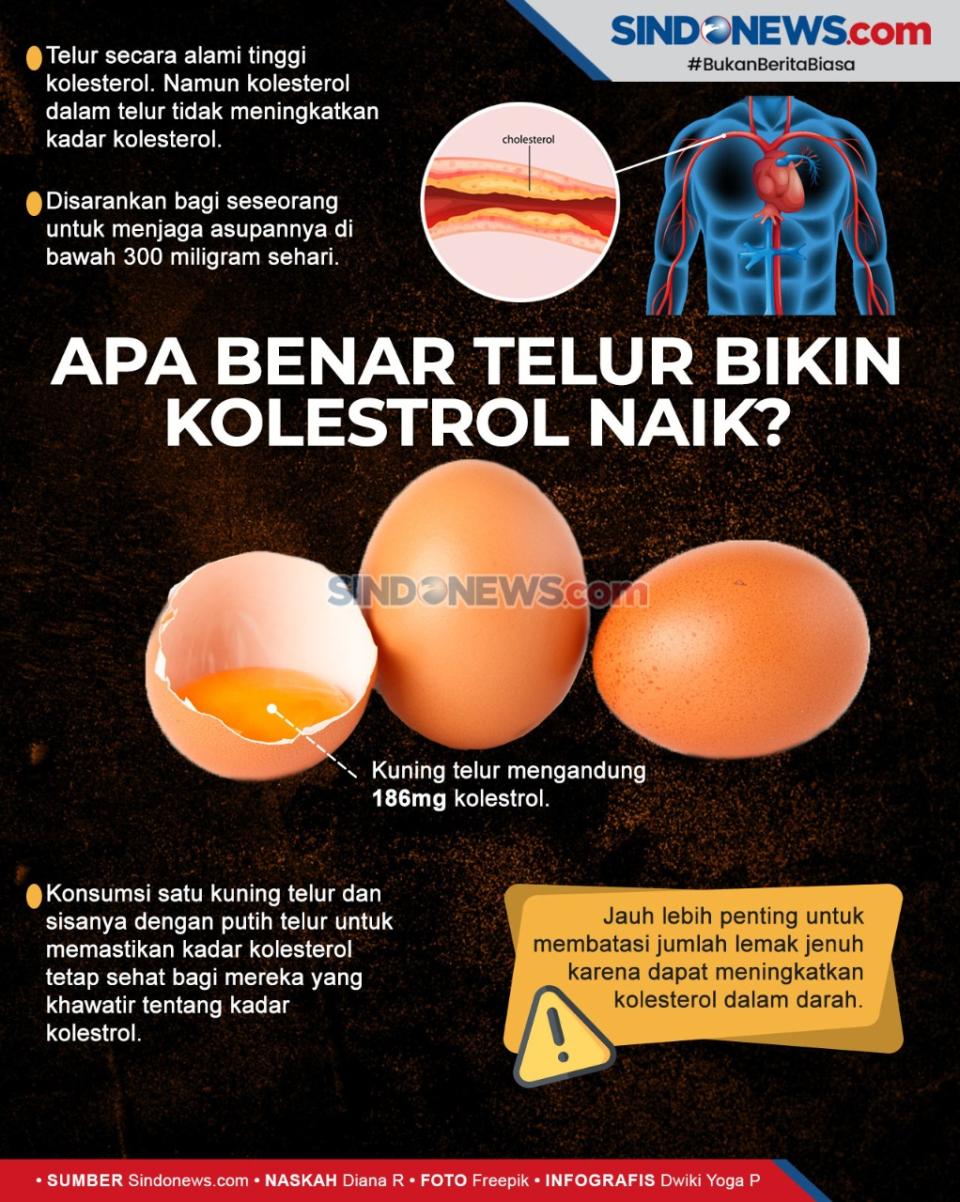 Apakah Telur Menyebabkan...