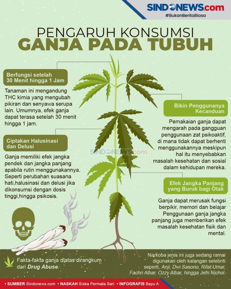 Efek Pengaruh Konsumsi...